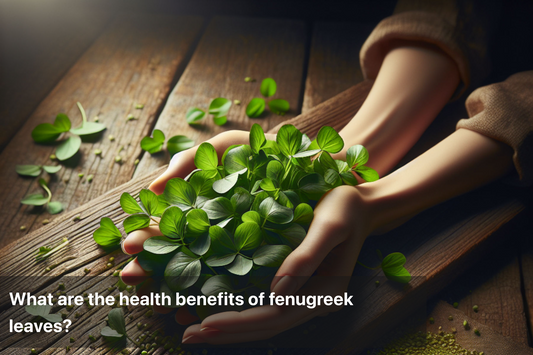 Hands holding fresh fenugreek leaves showcasing their health benefits.