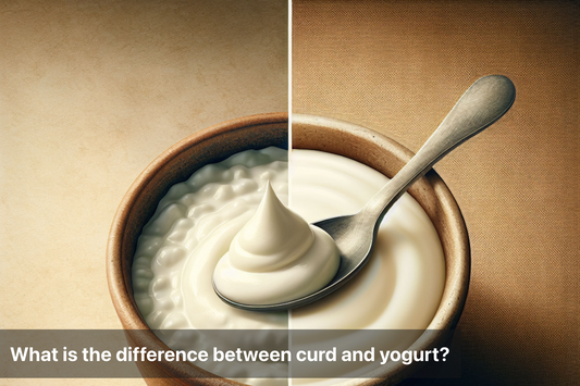 A side-by-side comparison of curd and yogurt in bowls with a spoon.